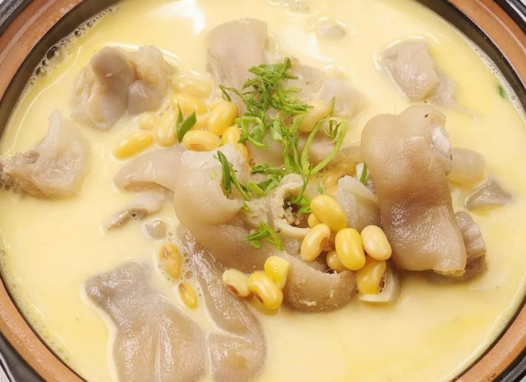 芸豆猪肚汤的功效与作用 猪肚薏米汤功效与作用