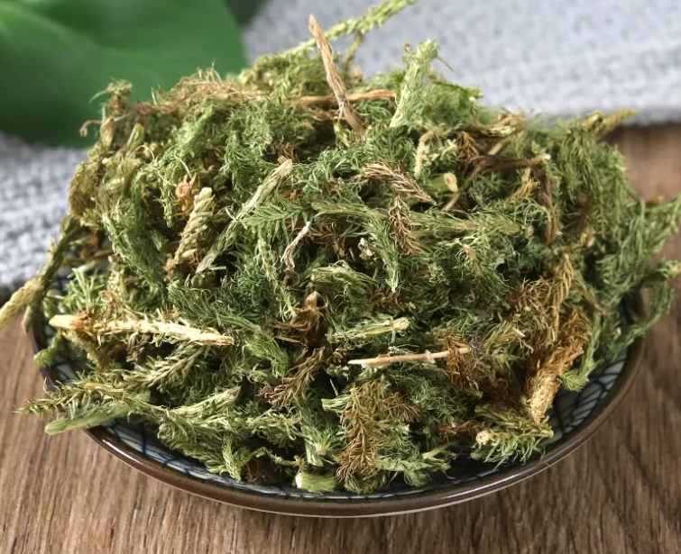 伸筋草功效与作用有哪些 伸筋草泡脚有什么功效