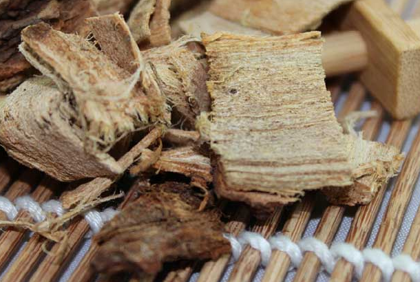 榆白皮的用法以及用量 榆白皮泡水喝的禁忌