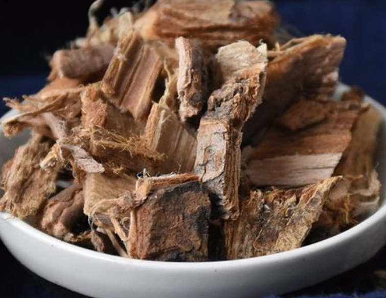 榆白皮的功效是什么 榆白皮可以用什么代替
