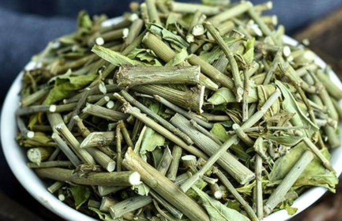 中药优遁草的功效 优遁草可以降尿酸吗