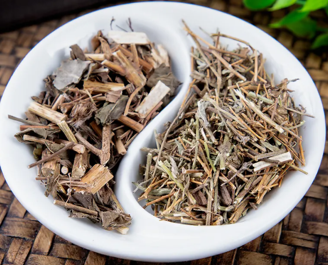 中药香薷的功效与作用 香薷的用法用量