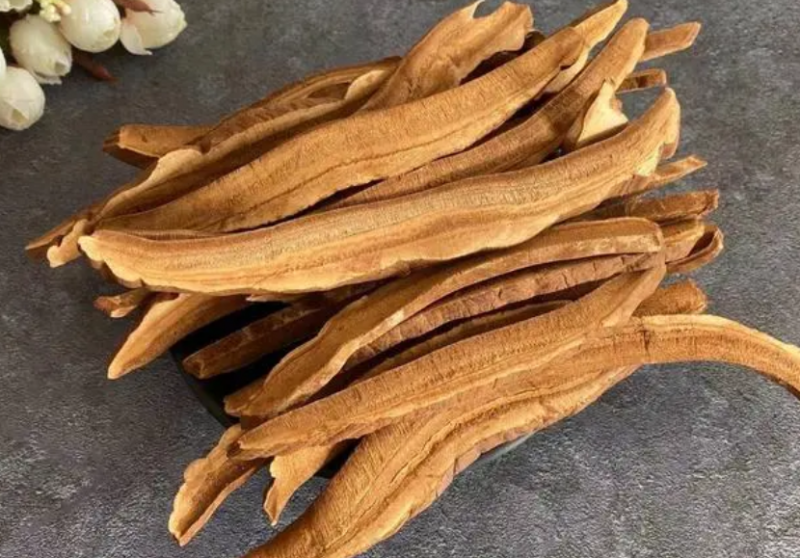 土灵芝的功效与作用 土灵芝的食用方法
