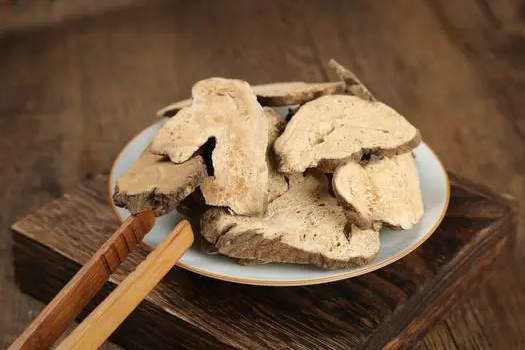 土白术的功效与作用 土白术的食用方法