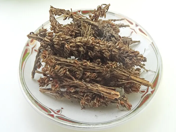 天草是什么草药 天草的功效与主治