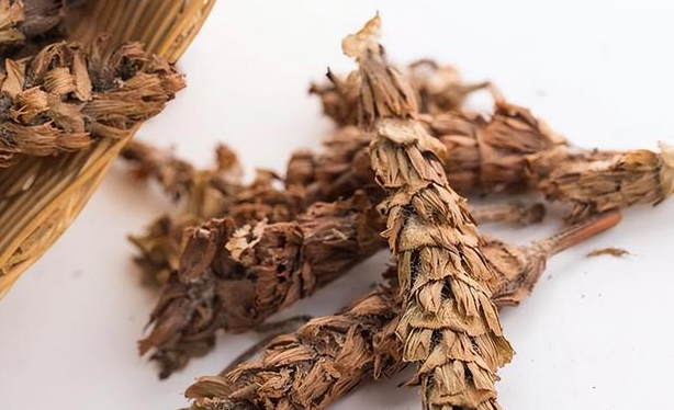石见穿的功效与作用？石见穿泡水喝的功效