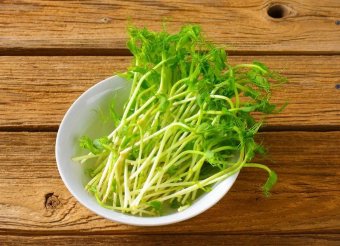 芽菜的功效与作用 芽菜的营养价值高吗