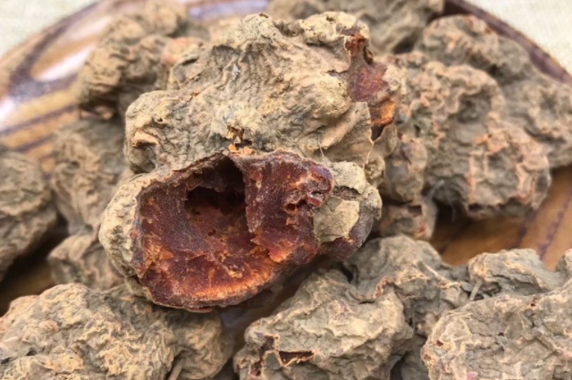 中药蛇莲的功效与作用 蛇莲怎么吃最好