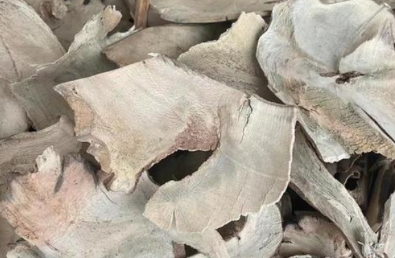 岗梅的功效与作用 岗梅的禁忌