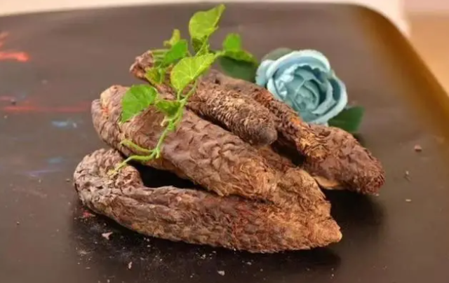 肉苁蓉用量多少克？中药肉苁蓉功效和作用有哪些