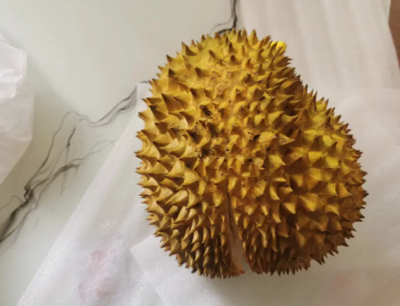 榴莲壳可以食用吗 榴莲壳的食用功效