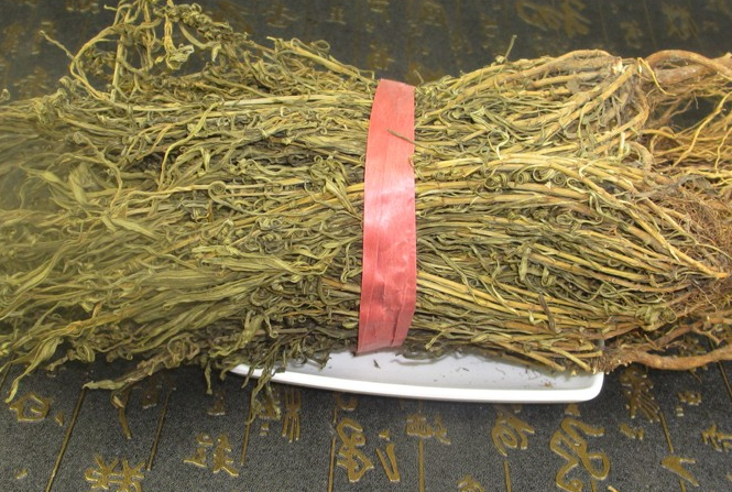青鱼胆草的功效与作用 青鱼胆草的副作用