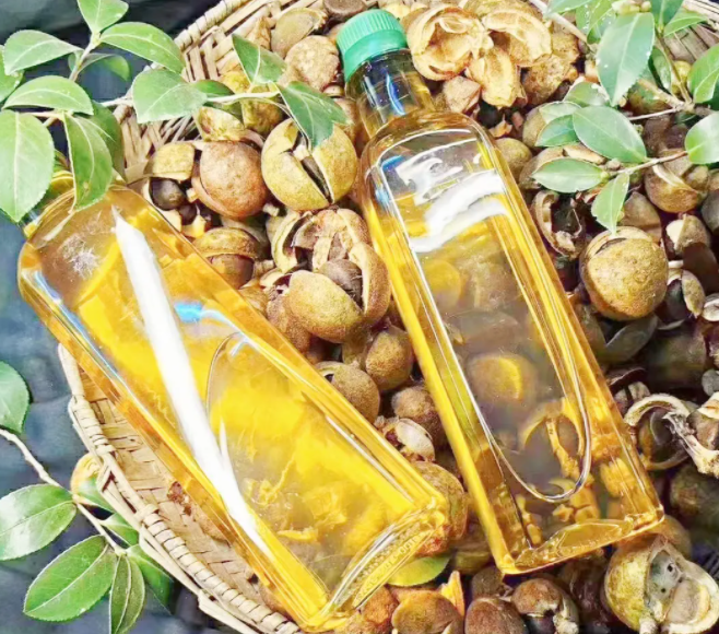 野生茶油的功效与作用 吃野生茶油有什么好处