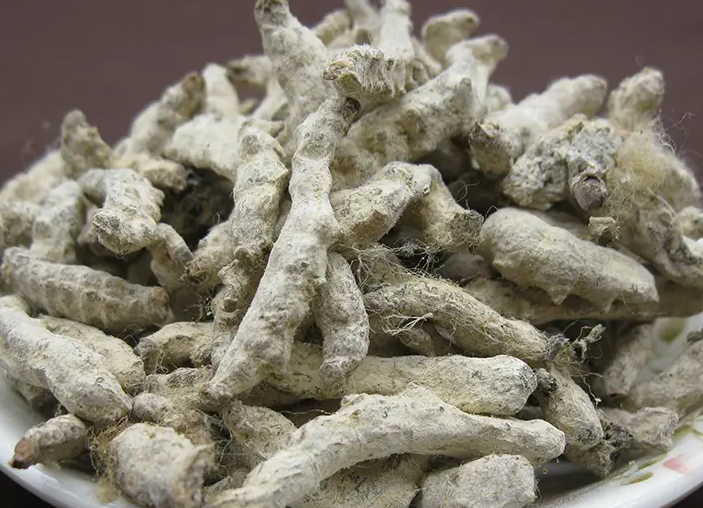 中药僵蚕的功效与作用 僵蚕一般用量几克