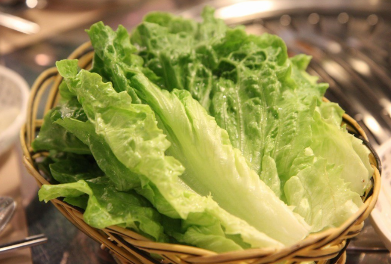 生菜变红还能不能吃？生菜根部为什么变红？
