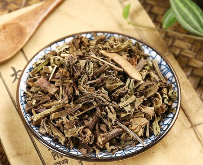 肾茶是什么 肾茶的功效与作用