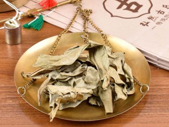 龙利叶的功效与作用 龙利叶的禁忌