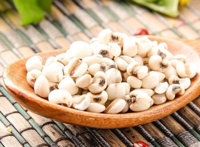 米仁的功效与作用 米仁的食用方法
