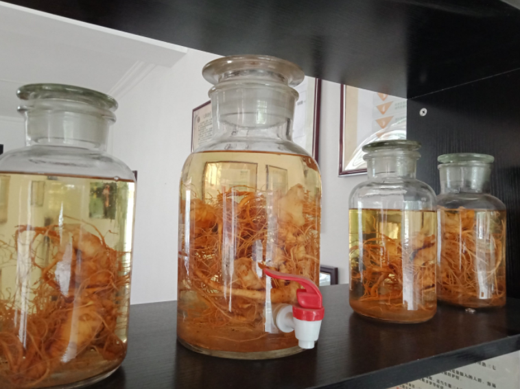 刺泡根泡酒的功效和作用 刺果子泡酒配方大全