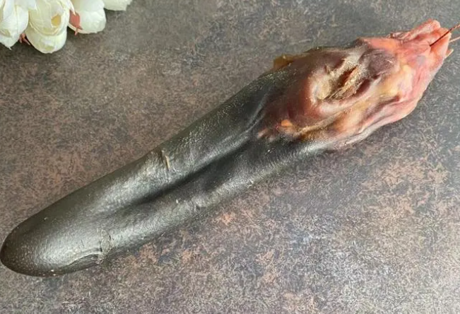 鹿尾巴的功效与作用 鹿尾巴的使用方法
