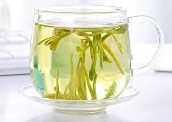 金银花茶的功效与作用 金银花茶的副作用