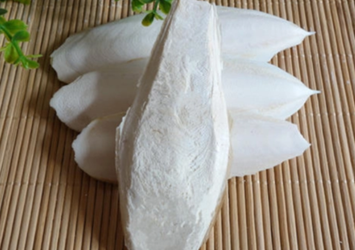 墨鱼壳的作用与功效 墨鱼壳可以止鼻血吗