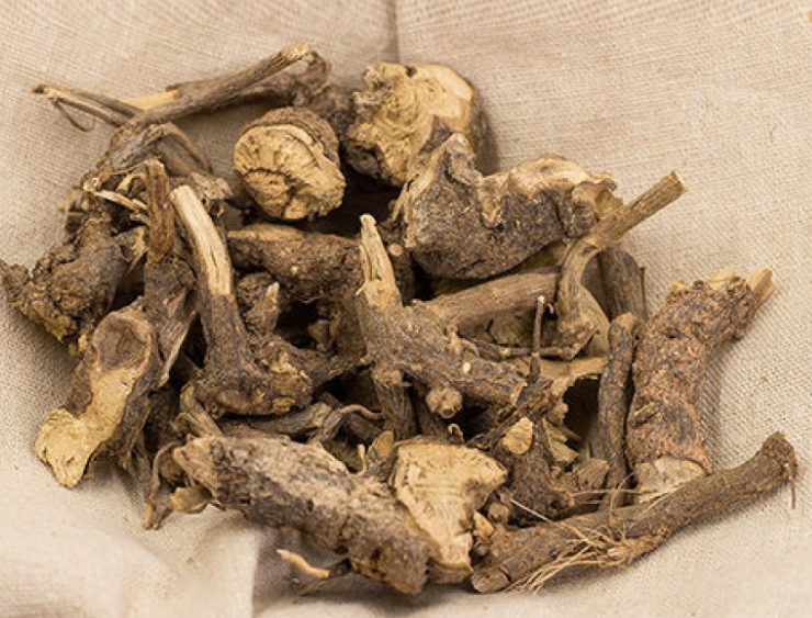 白牛胆的功效与作用 白牛胆的药用价值