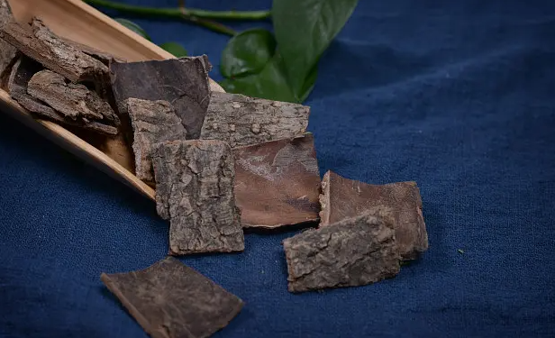 杜仲的功效与作用 杜仲的药用价值