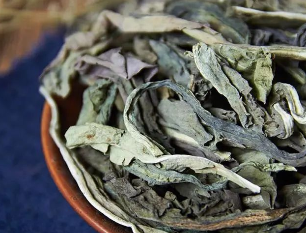 中药大青叶的功效与作用 中药大青叶的禁忌
