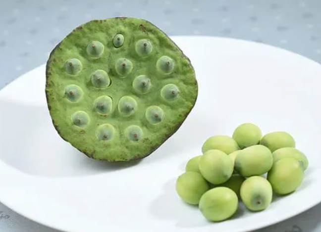 莲蓬籽生吃的作用与功效 莲蓬籽吃了有什么好处