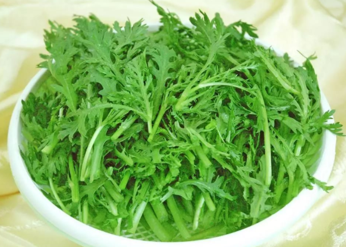 野茼蒿菜的功效和作用 野茼蒿菜的副作用