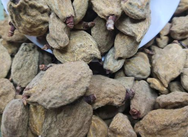 碧桃干的功效与作用 碧桃干有什么药用