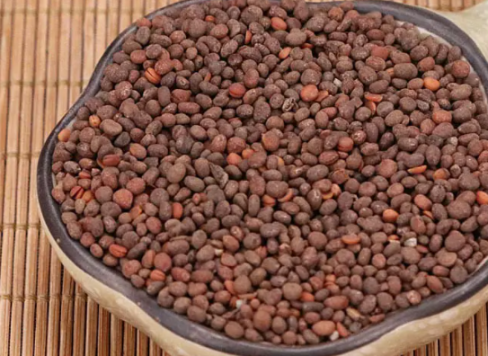 中药急性子的功效与作用 中药急性子的副作用