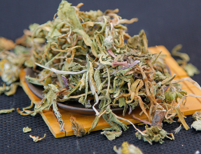 蒲公英的基本介绍 蒲公英的药用价值