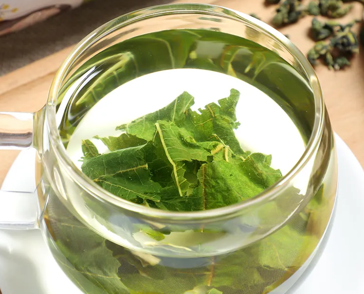 桑叶茶的功效与作用 长期喝桑叶茶的副作用