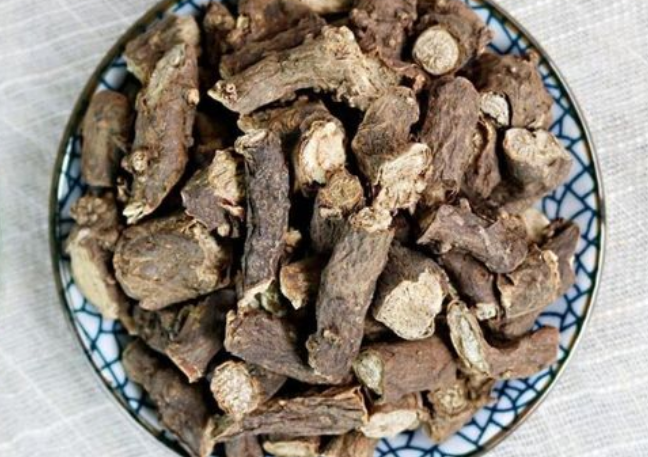 墓头回的功效与作用 墓头回的注意事项
