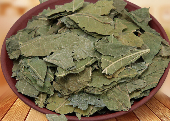 桑叶洗头的作用与功效 桑叶怎么洗头