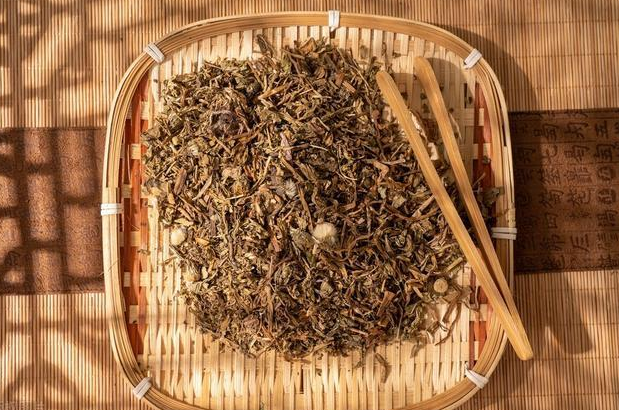 异苞蒲公英的样子 异苞蒲公英的功效与作用
