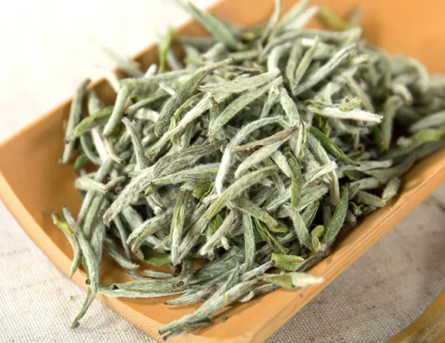 白茶的介绍 白茶的功效和作用