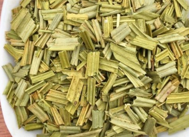 铁树叶的营养价值 铁树叶的副作用