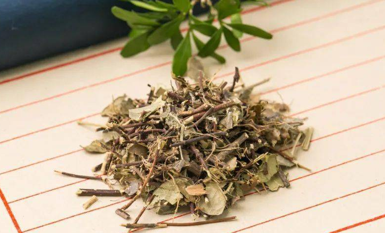 络石藤的功效与作用 络石藤的药用价值