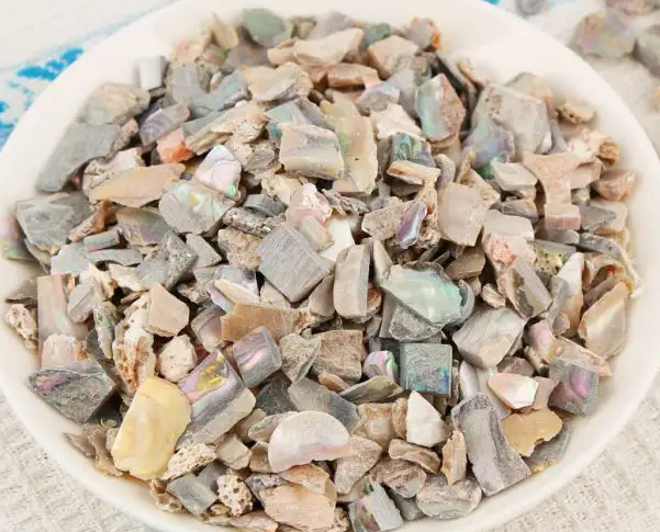 石决明的功效与作用 石决明主治什么病