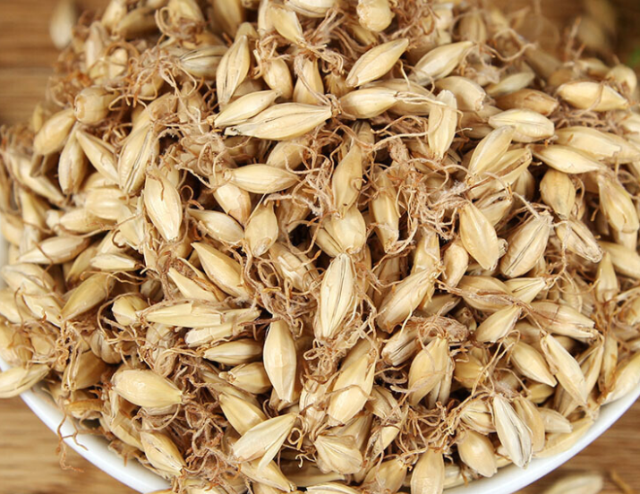 麦芽菜怎么炒 麦芽菜怎么做好吃