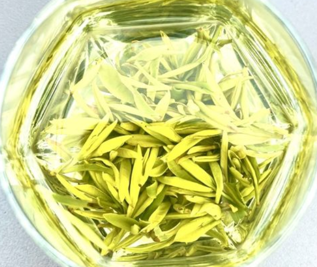 云雾茶属于什么茶 云雾茶怎么泡