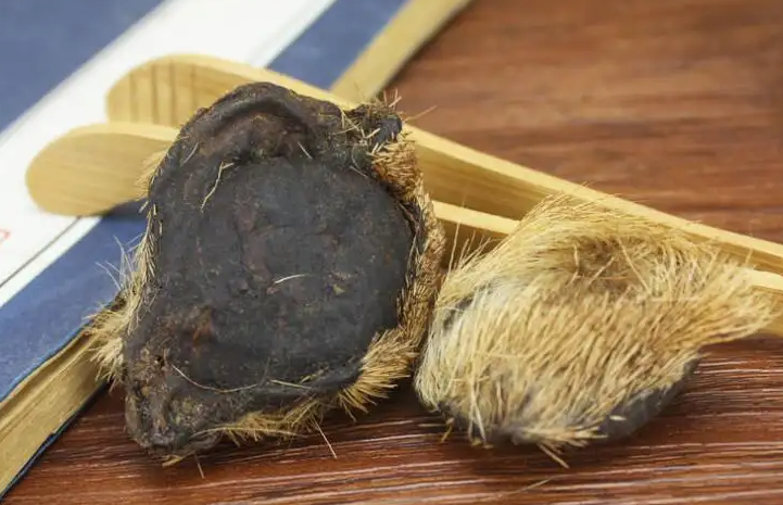 麝香仁的功效与作用 麝香仁的药用价值