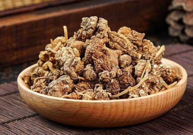 珠子参的功效与作用 珠子参的副作用
