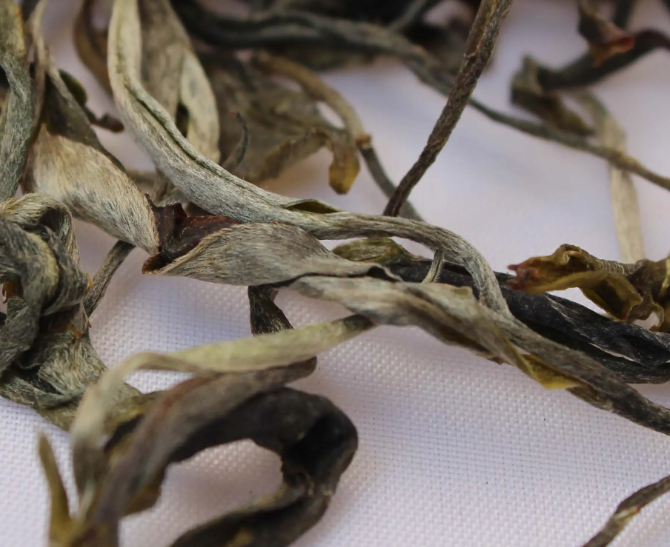 那卡古树茶冲泡方法 那卡古树茶口感特点