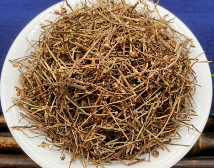 白花蛇舌草的功效与作用 白花蛇舌草的禁忌