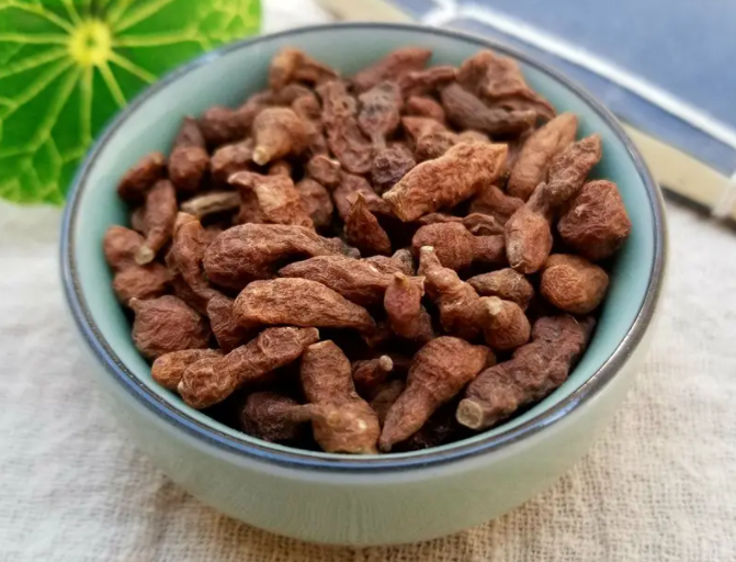 蕨麻的功效与作用 蕨麻的副作用