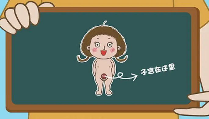 性教育专家来解答